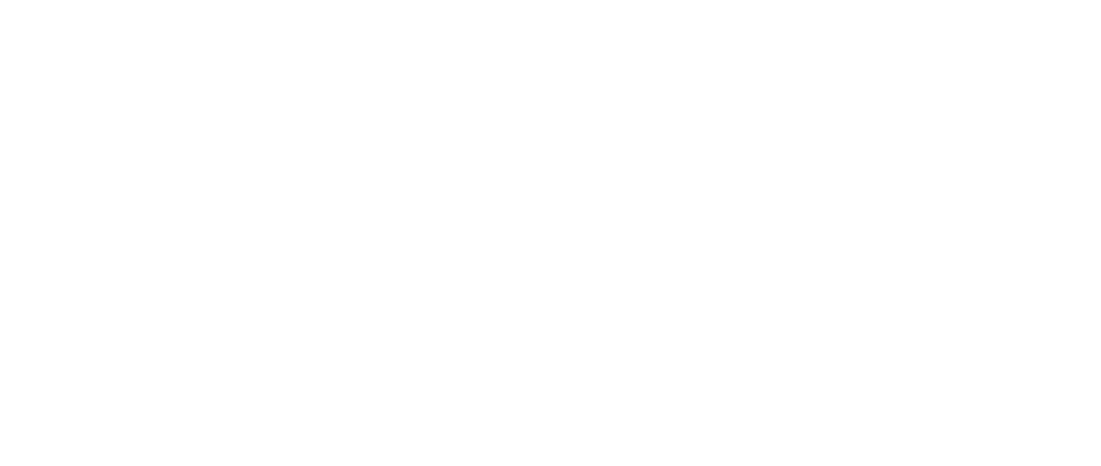 DESMI - Make life flow